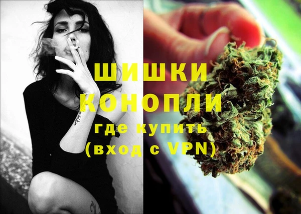 тгк Арсеньев