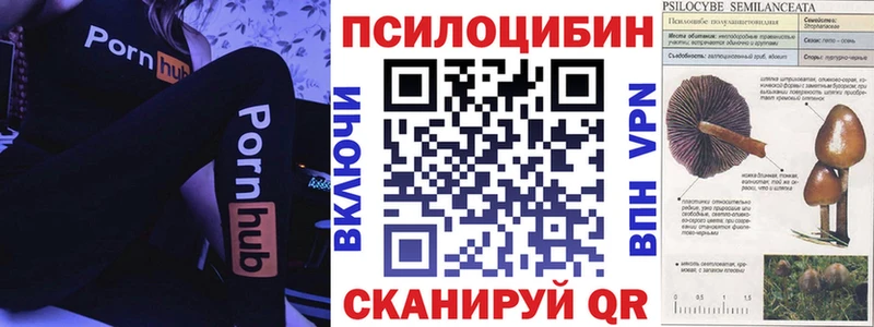 Галлюциногенные грибы мухоморы Купить где Сычёвка